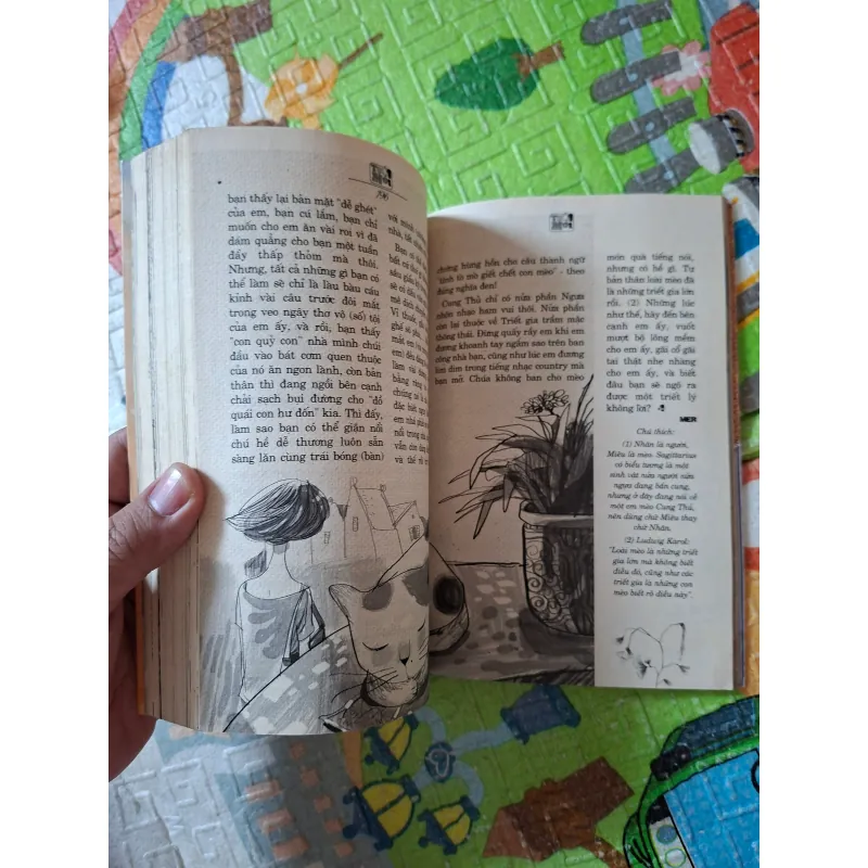 Lấp Lánh An Vui 1000070