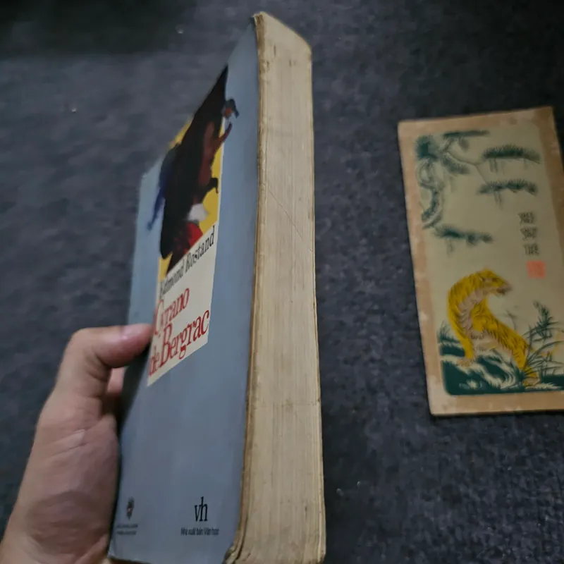 Cyrano de Bergrac - Rostand 733936