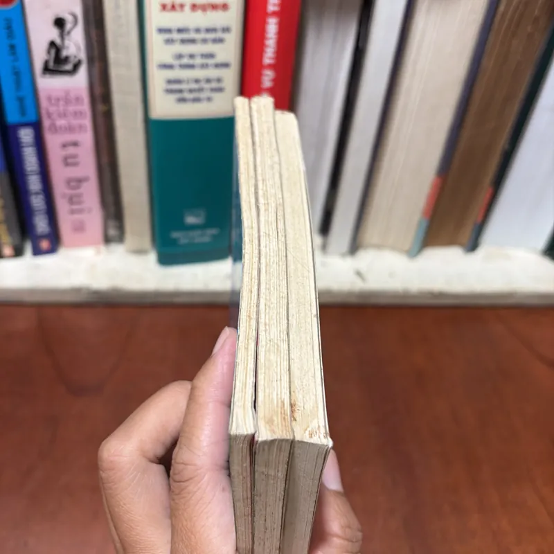 II Sách Huyền Học: KIM OANH KÝ (3 Quyển) - Thái Kim Oanh 777831