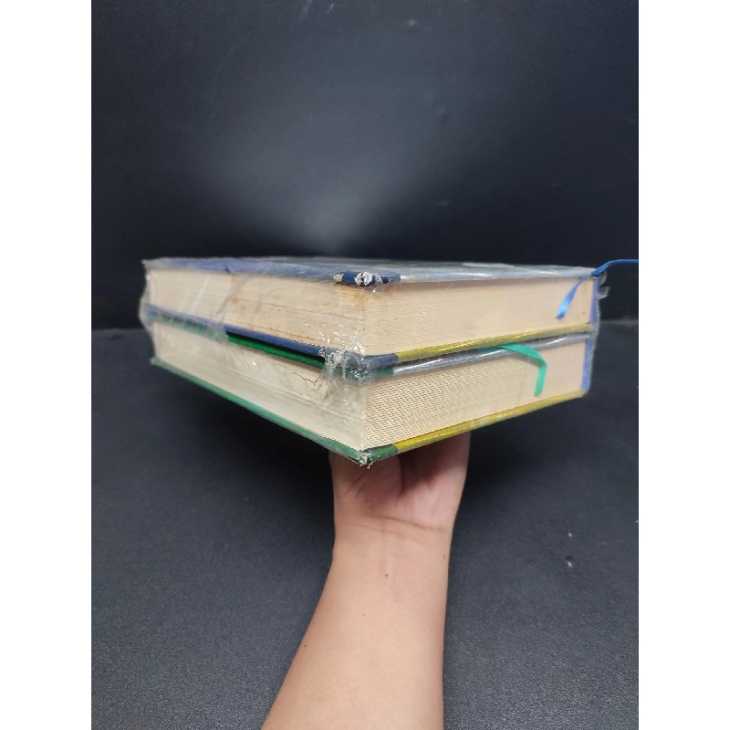 Hồng lâu mộng tập 3+4 mới 80% ố bìa cứng HCM1406 Tào Tuyết Cần SÁCH VĂN HỌC 915317