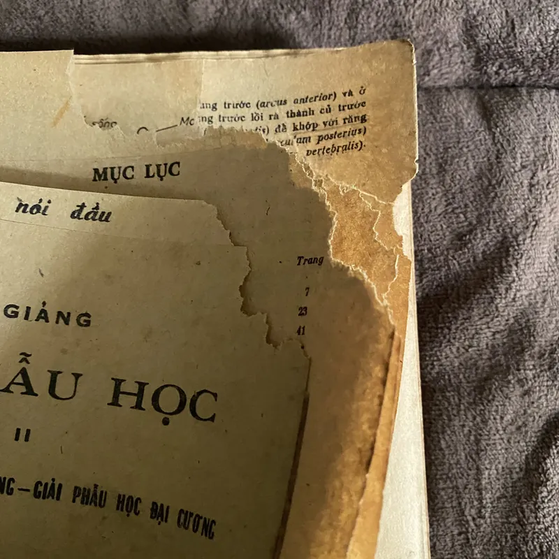 Bài giảng giải phẫu học trọn bộ 2 tập  674513