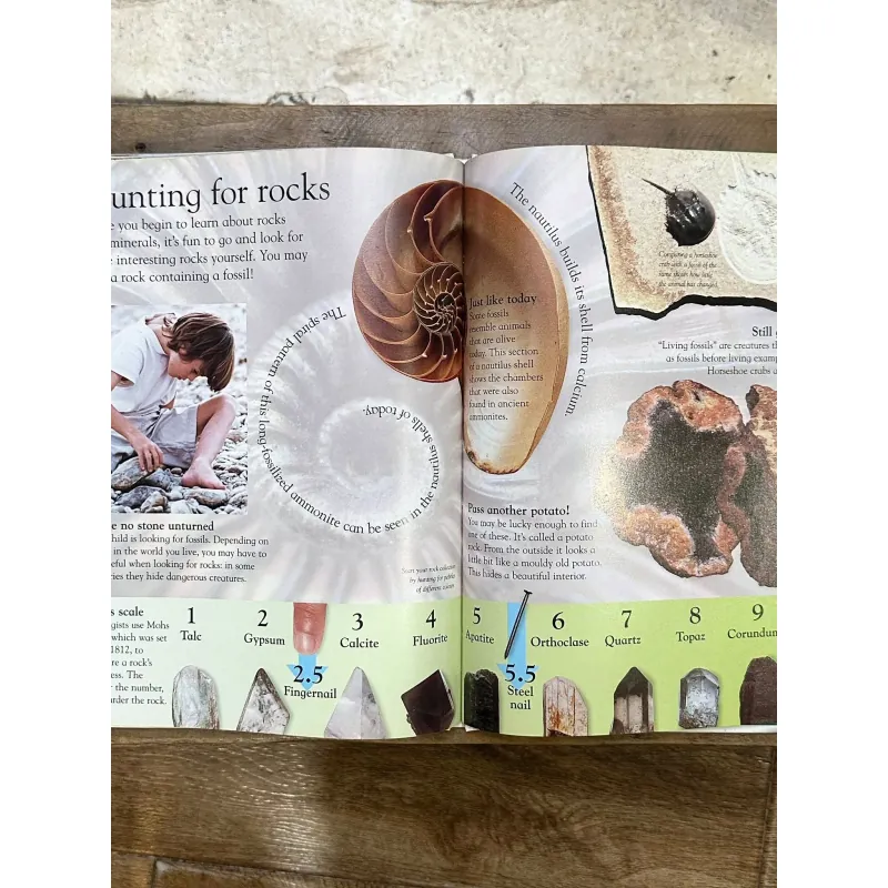 DK Eyewonder Series - Rocks and Minerals 730869