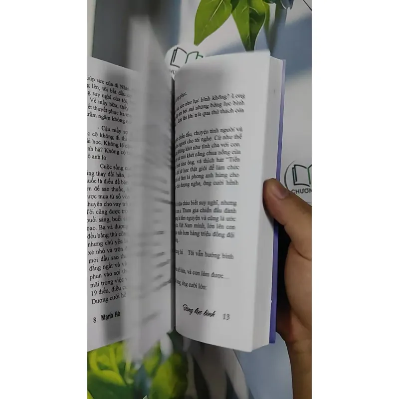 Bông Lục Bình - Mạnh Hà 798483