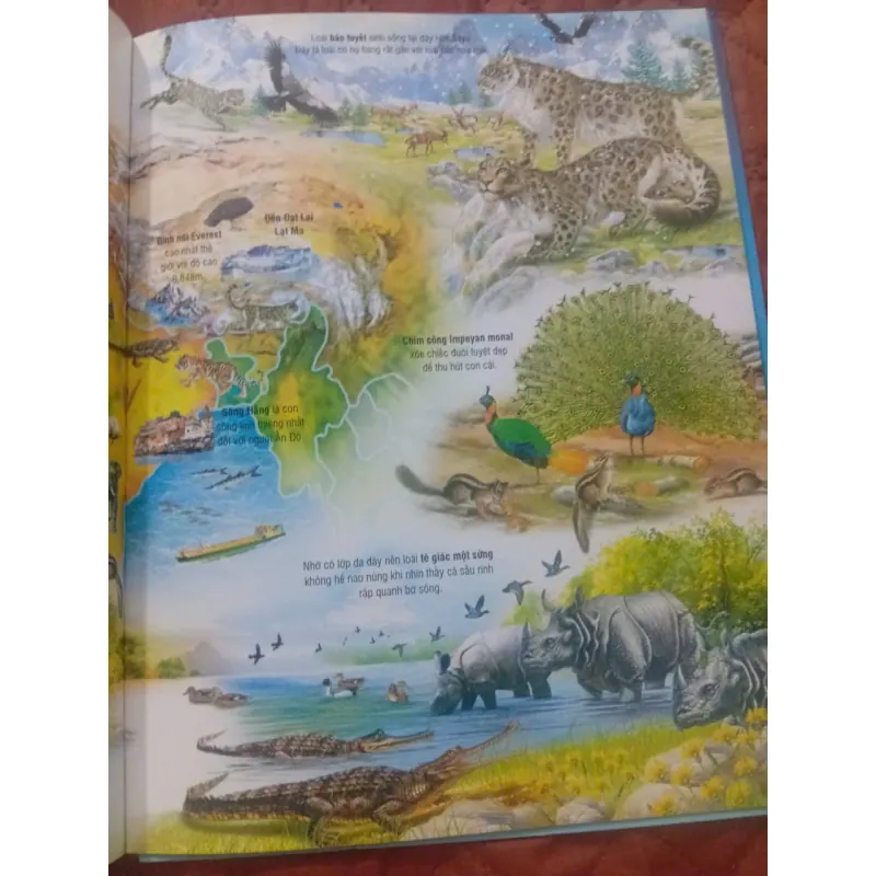 Atlas Môi Trường Sống Của Các Loài Động Vật 1009866