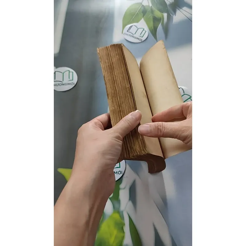 [XƯA] Còn Hơn Tội Lỗi (1991) - Barney Leason 776056