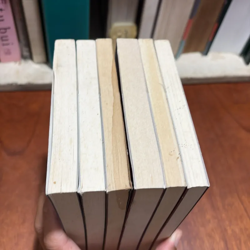 II Triết Học (6 Cuốn) - Dẫn Luận Về: JUNG, TÌNH DỤC, CÁI ĐẸP, KIERKEGAARD, FOUCAULT, FREUD 907592