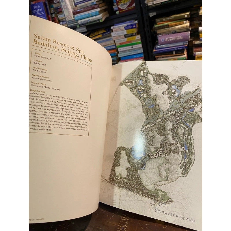 Belt Collins Arts International 1006762