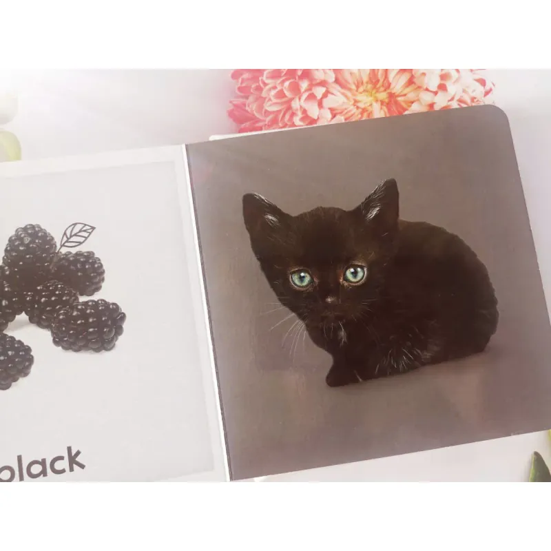 Baby's First Colours 961424