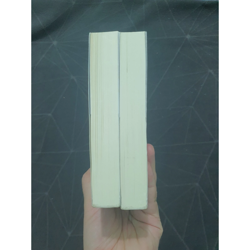 "Anh có quyền giữ im lặng" - Đào Đào Nhất Luân 497203