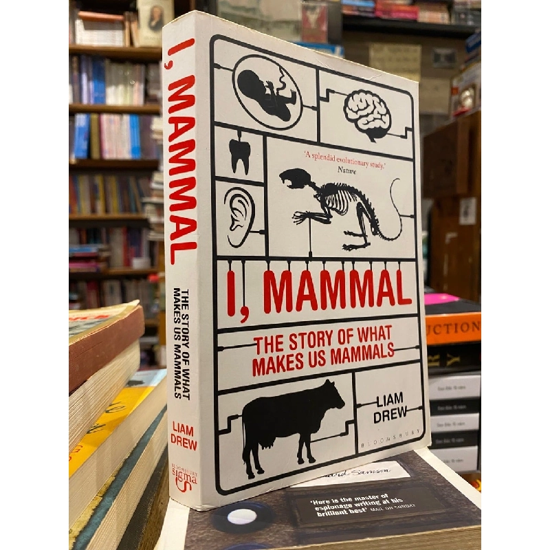 I, Mammal - Liam Drew 993845
