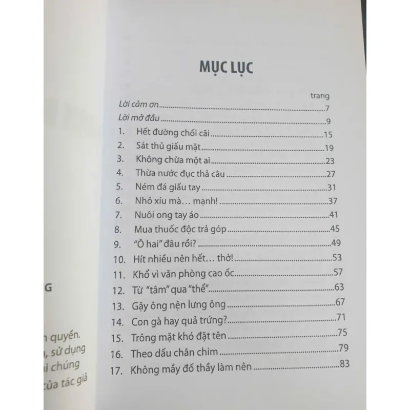 Ngọn Đèn Trước Gió - Lương Lễ Hoàng 733802