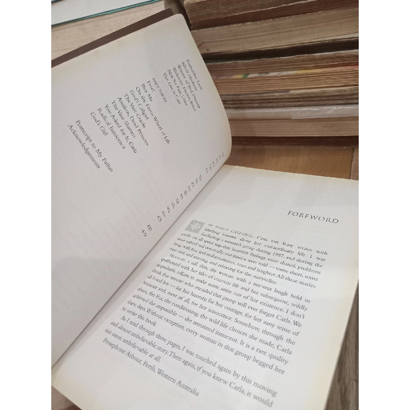 God's callgirl - Carla Van Raay 1024539