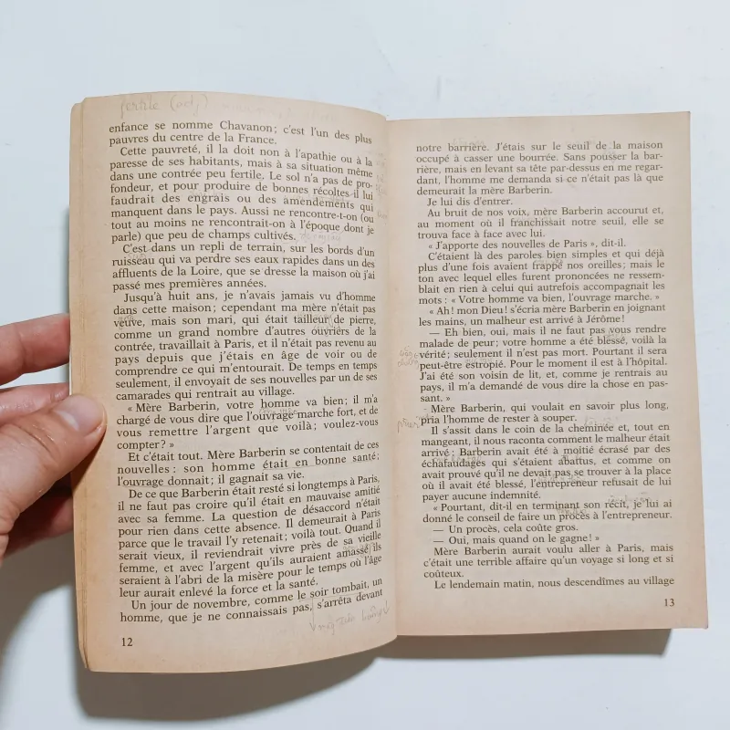 Sans Famille - Hector Malot 975834