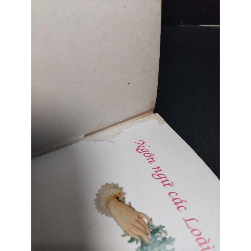 Ngôn ngữ của loài hoa mới 70% ố bong gáy vẽ hình trang cuối HCM1001 Nguyễn Bích Nhã - Châu Nhiên Khanh KHOA HỌC ĐỜI SỐNG 918307