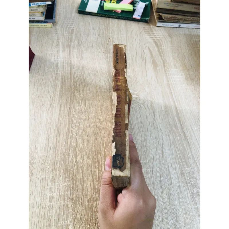 Người Cuối Cùng Rời Sài Gòn – Chris Mullin (bản dịch Văn Thanh) 929027