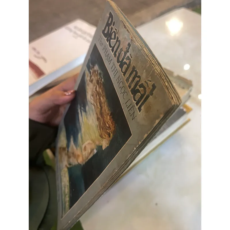 BIỂN ĐÃ MẤT - PHẠM THỊ NGỌC LIÊN  999158