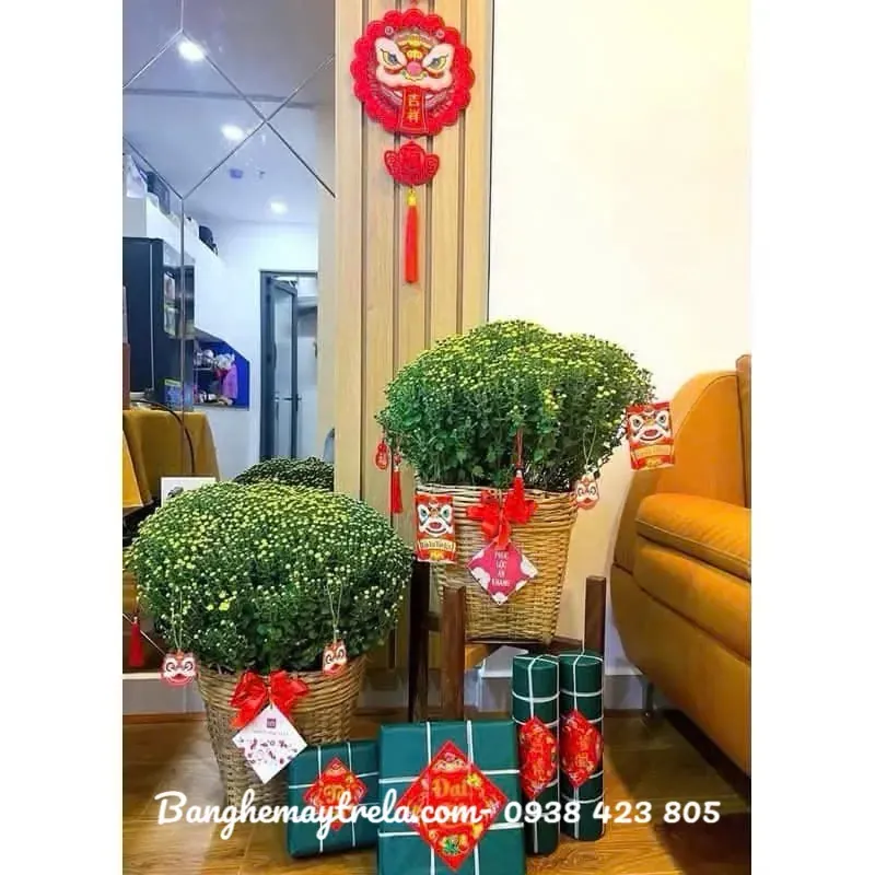 Cần xé tre đựng trái cây giá rẻ 698673