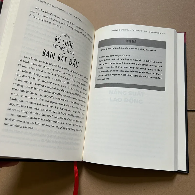 Thiết kế cuộc đời thịnh vượng - Thái Phạm 738316