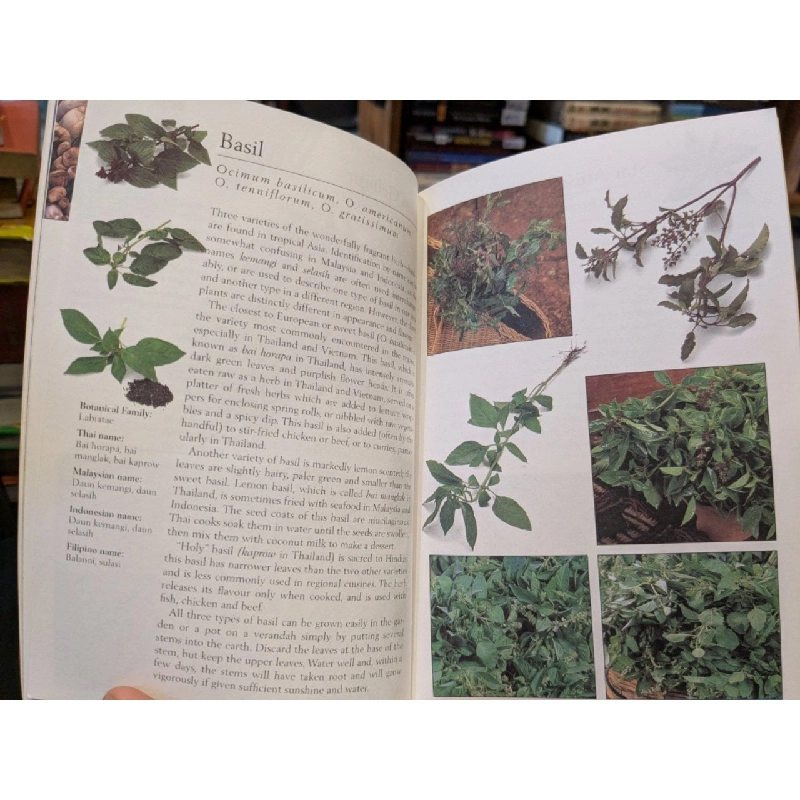 Asian Herbs & Spices 754217