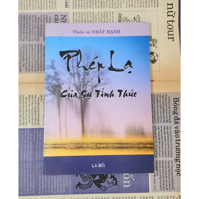 PHÉP LẠ CỦA SỰ TỈNH THỨC (Thiền sư Thích Nhất Hạnh) 1002219