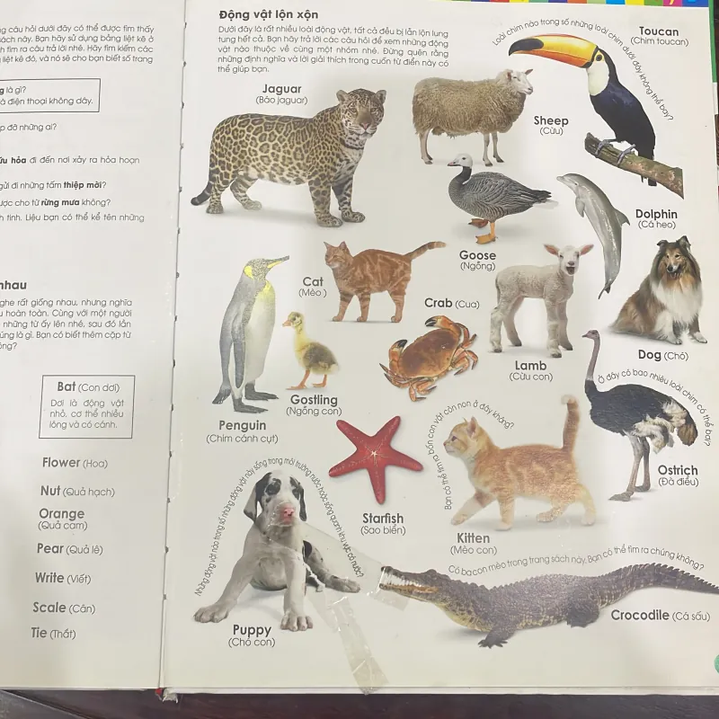 DK : My first Dictionary Cuốn từ điển đầu đời của tôi với 1000 từ - đinh tị 1027129