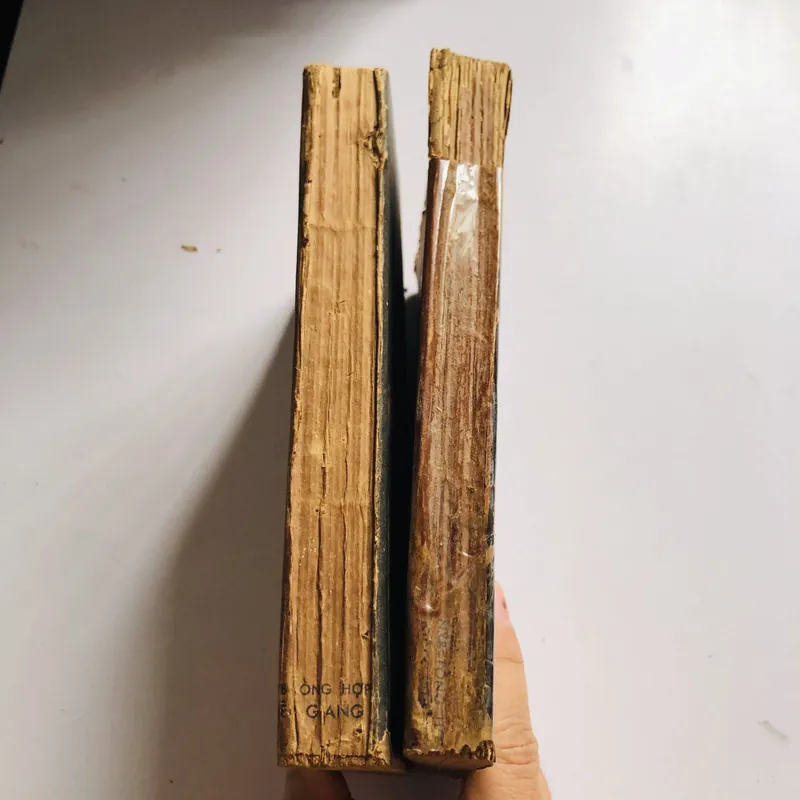 BỘ 2 TẬP NHỮNG QUẬN CHÚA NỔI LOẠN 568241