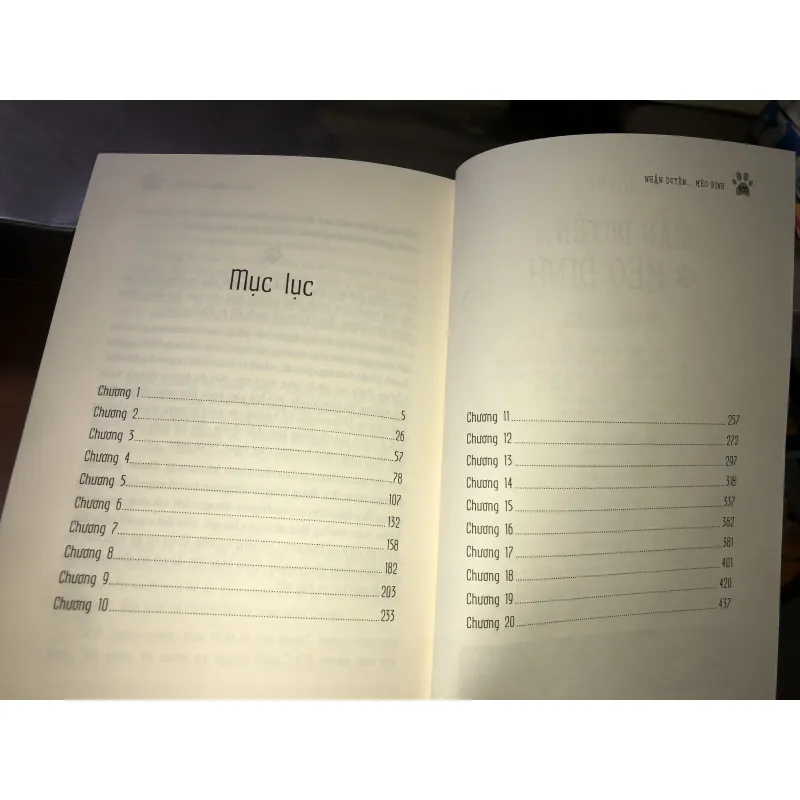 Nhân duyên mèo định - Melinda Metz 1024019