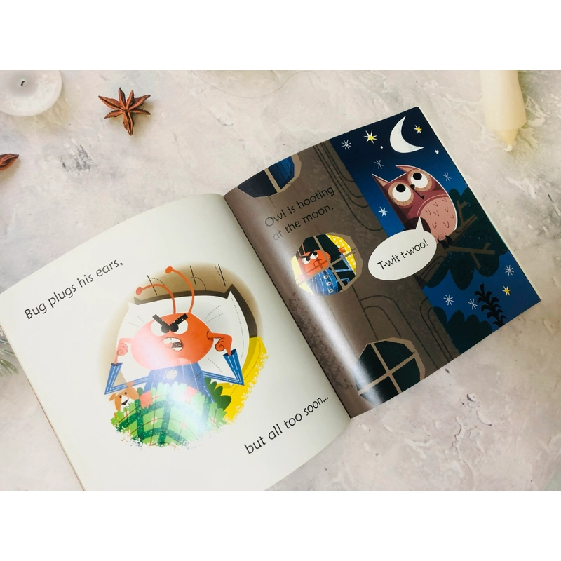 Usborne Phonics reader bộ mở rộng 546051