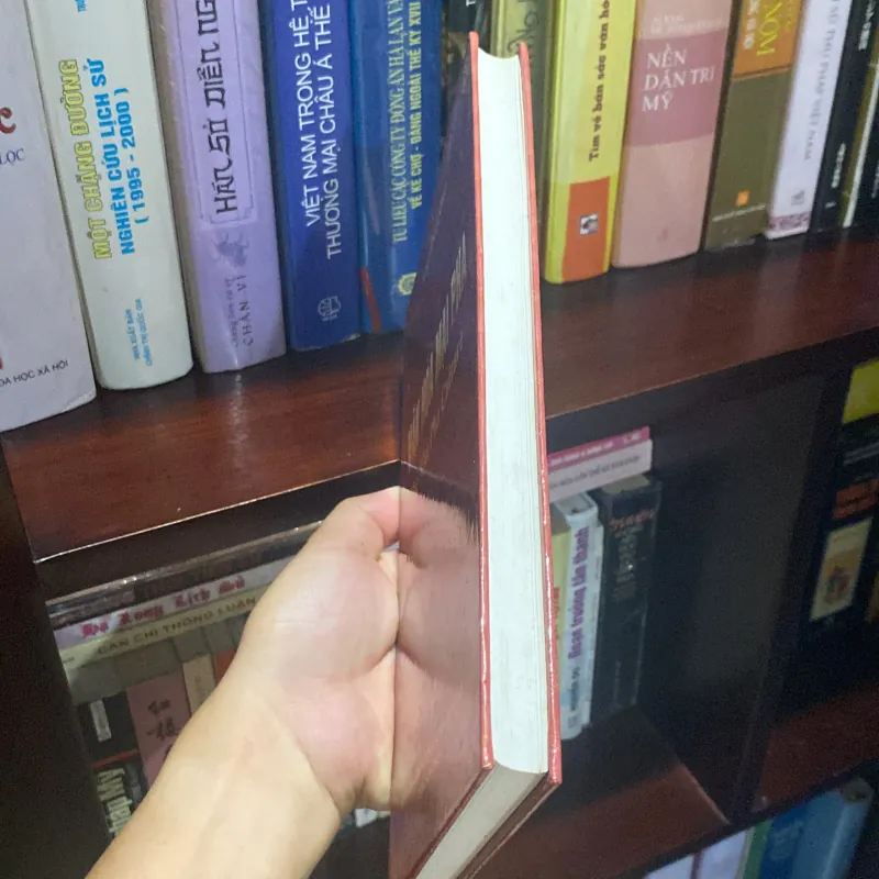 VĂN HÓA MAI PHA (THE MAI PHA CULTURE) , Bản bìa cứng, XB 2001 1008439