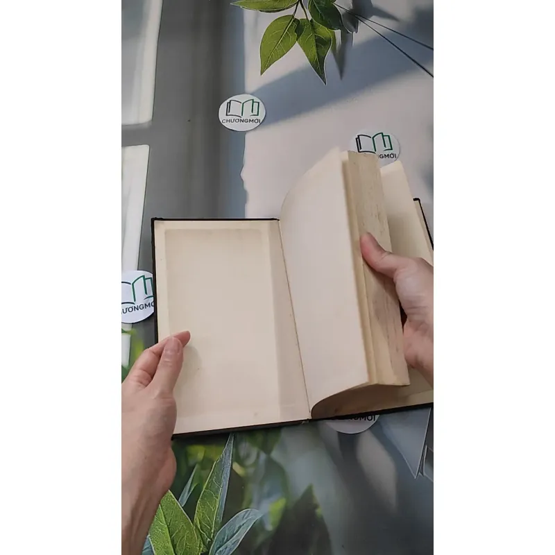 [MIỄN PHÍ BỌC SÁCH] [XƯA] The Chinese Assassin (1978) - Anthony Grey 990087