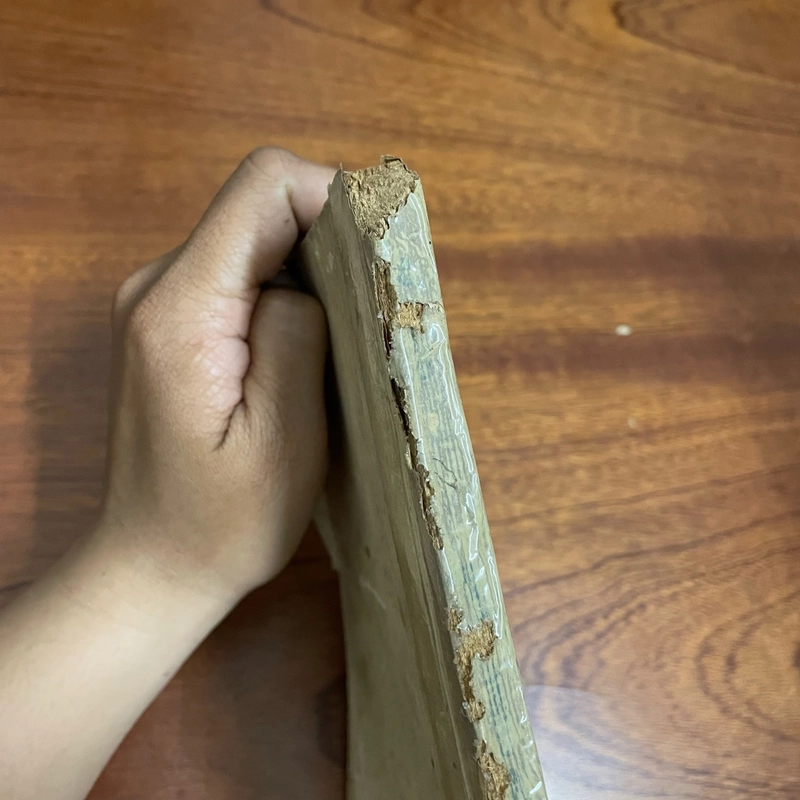 [Sách Xưa] - II Tiểu Thuyết Lịch Sử: Nhiếp Chính Ỷ Lan - Quỳnh Cư - 1986 495521