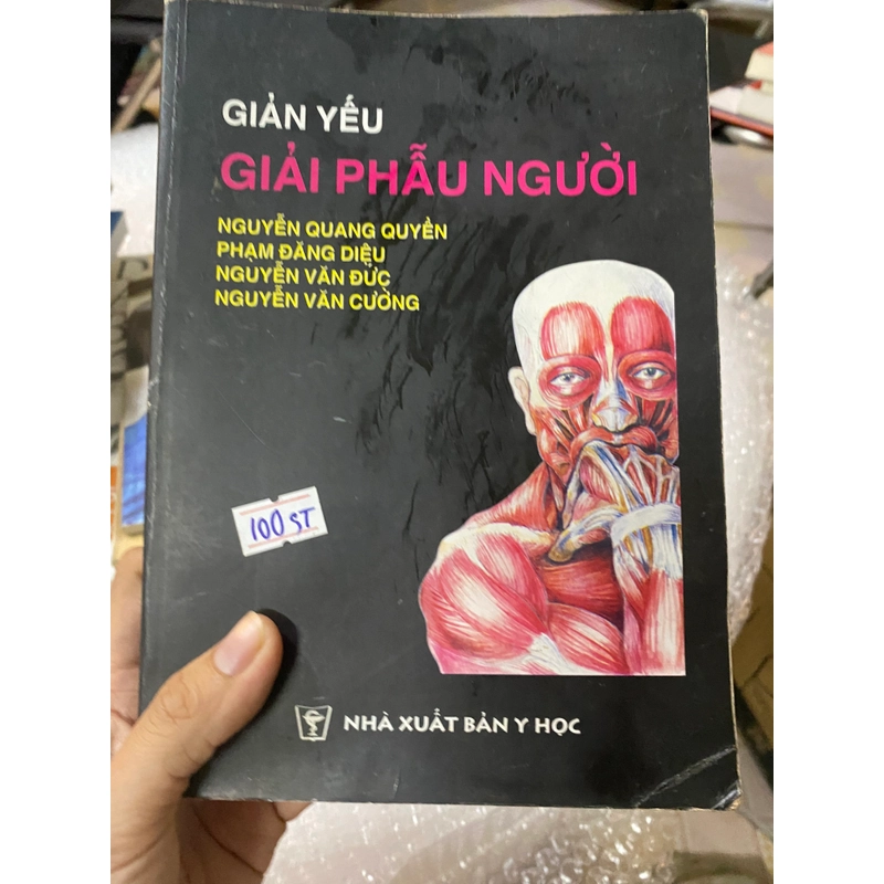 Giải phẫu người  552668