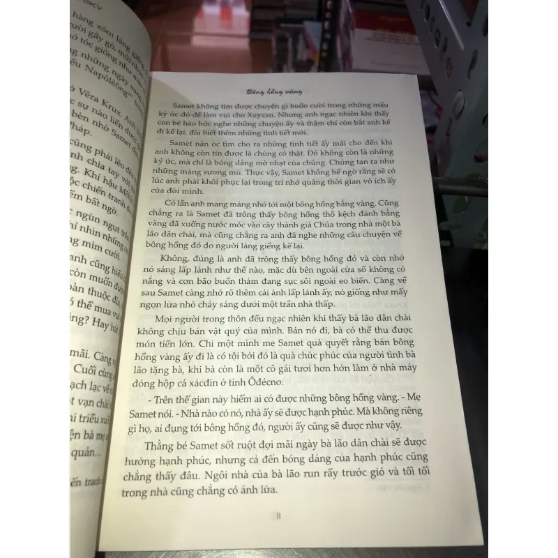 Bông hồng vàng và bình minh mưa - Konstantin Georgiyrvich Paustovsky 995158