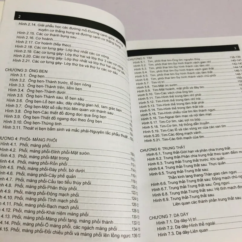 GIẢI PHẪU NGỰC - BỤNG  562735