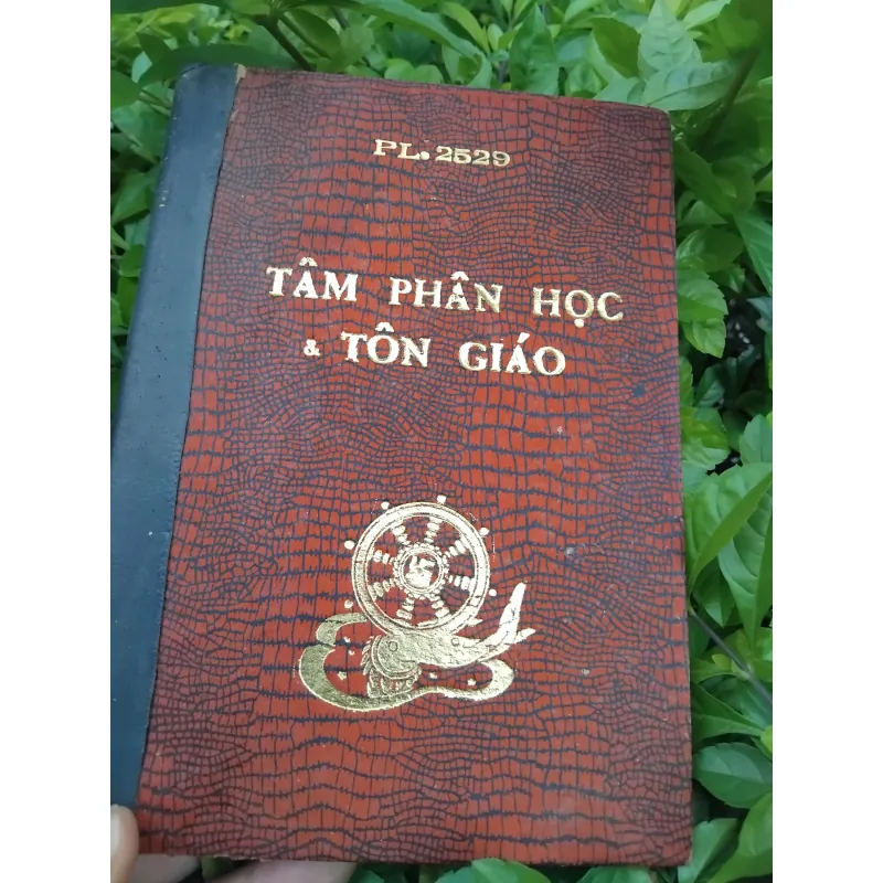 Tâm phân học và tôn giáo của Erich From 974325