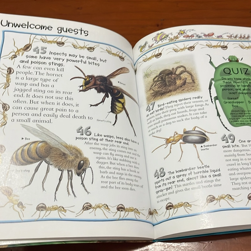 PICTURE BOOK 100 things you should know about insects & spiders 534178