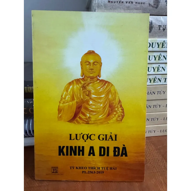 LƯỢC GIẢI KINH DI ĐÀ - thầy TUỆ HẢI 931469