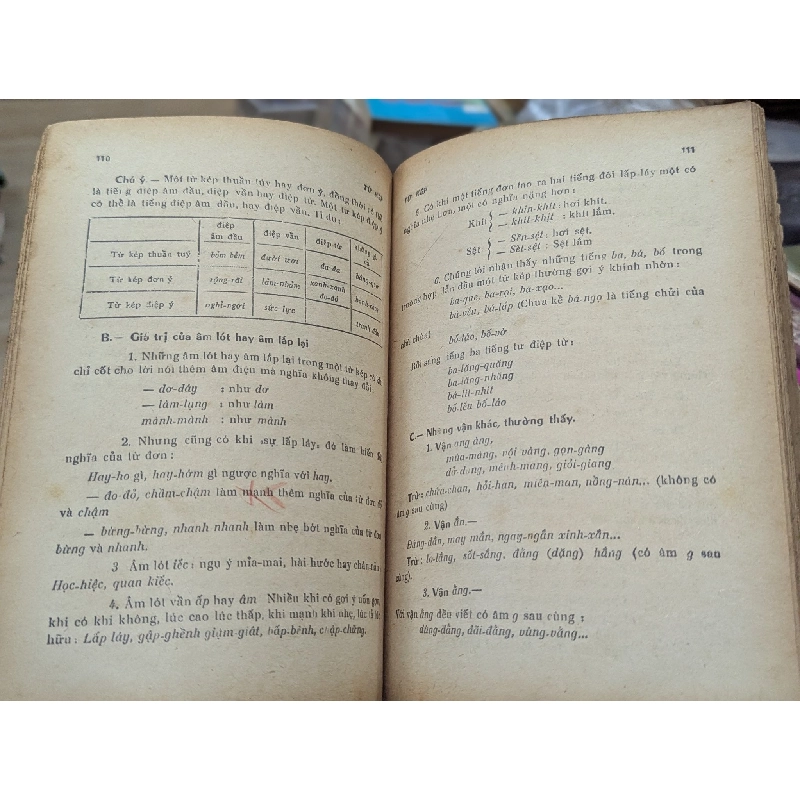 LƯỢC KHẢO VỀ NGỮ PHÁP VIỆT NAM - DOÃN QUỐC SỸ & ĐOÀN VIẾT BỬU 191561