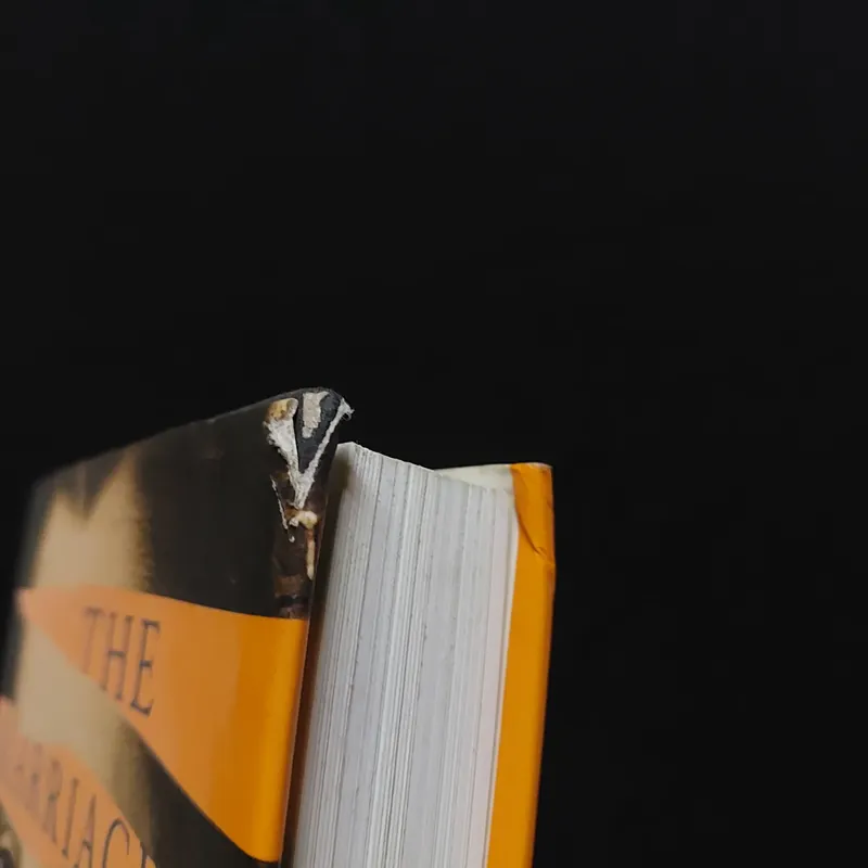 [Sách Cũ Ngoại Văn] The Marriage Portrait (Bìa Cứng) 654005