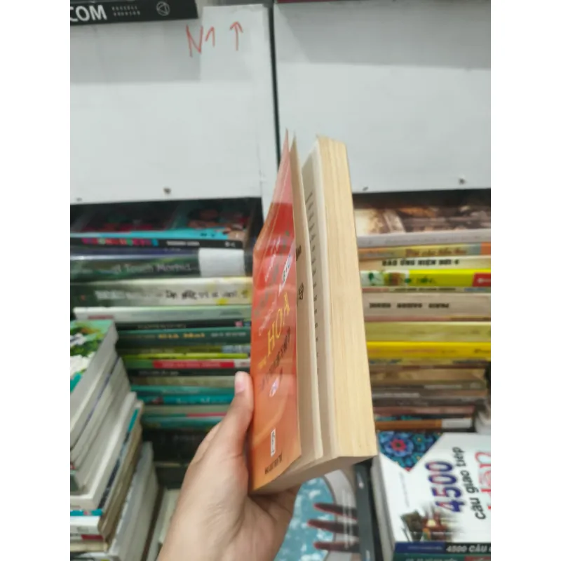 tài liệu luyện thi chứng chỉ Tiếng Hoa A, B, C 🌱 790156