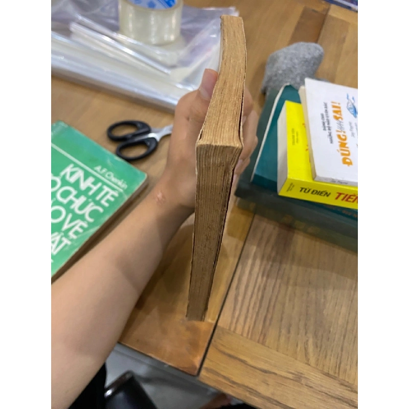 Người con trai sông Trà - Nguyễn Hồng Sinh và Lê Quang Hào 547248