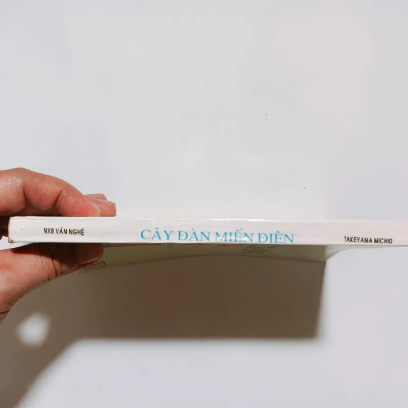 Cây Đàn Miến Điện - Takeyama Michio  795930