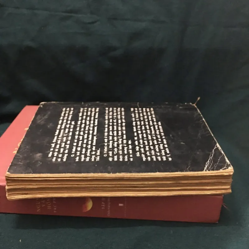 Cuộc sống, cuộc chiến và rồi… 960662