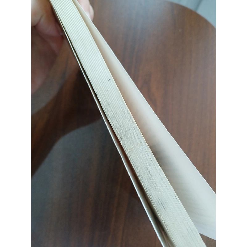 Cú Tấn Công Từ Điều Không Mong Đợi - Magnus Lindkvist 540054