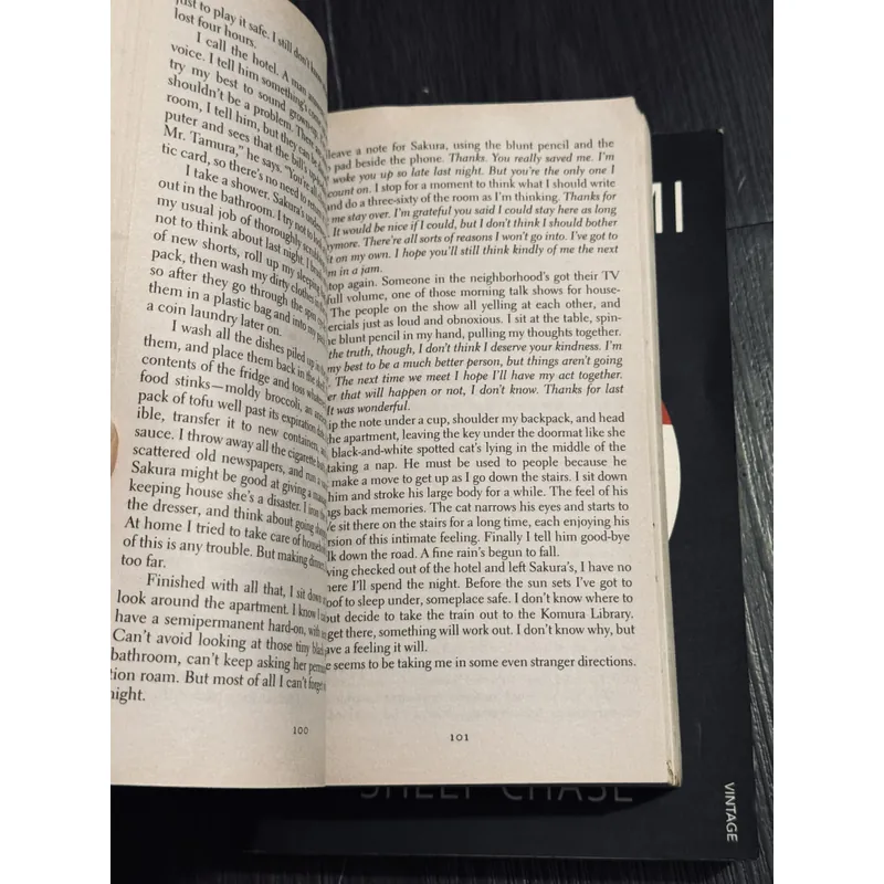 Combo 2 cuốn Haruki Murakami 590329