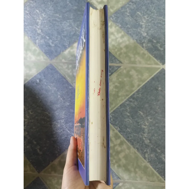 Cô đơn & Gắn Bó - Stephanie Dowrick 687715