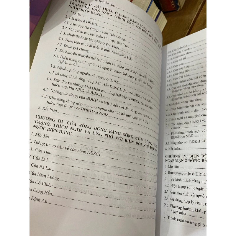 Cơ sở khoa học để đồng bằng sông Cửu Long thích ứng với biến đổi khí hậu và nước biển dâng - PGS. TS. Bùi Lai chủ biên 318701