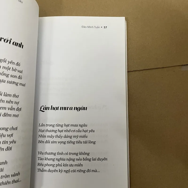 sỏi đá ngàn sau 569518