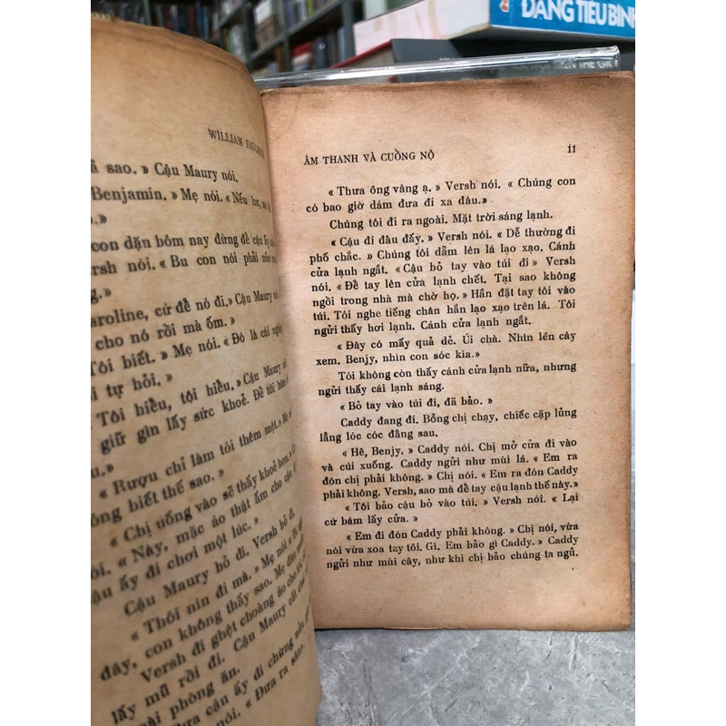 ÂM THANH VÀ CUỒNG NỘ - William Faulkner 478955