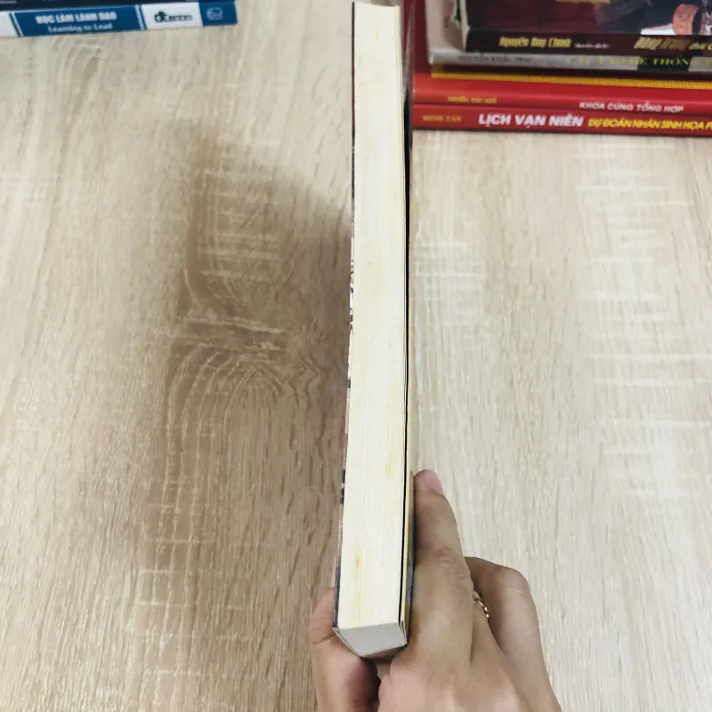 ĐÀNG TRONG THỜI CHÚA NGUYỄN  1024391